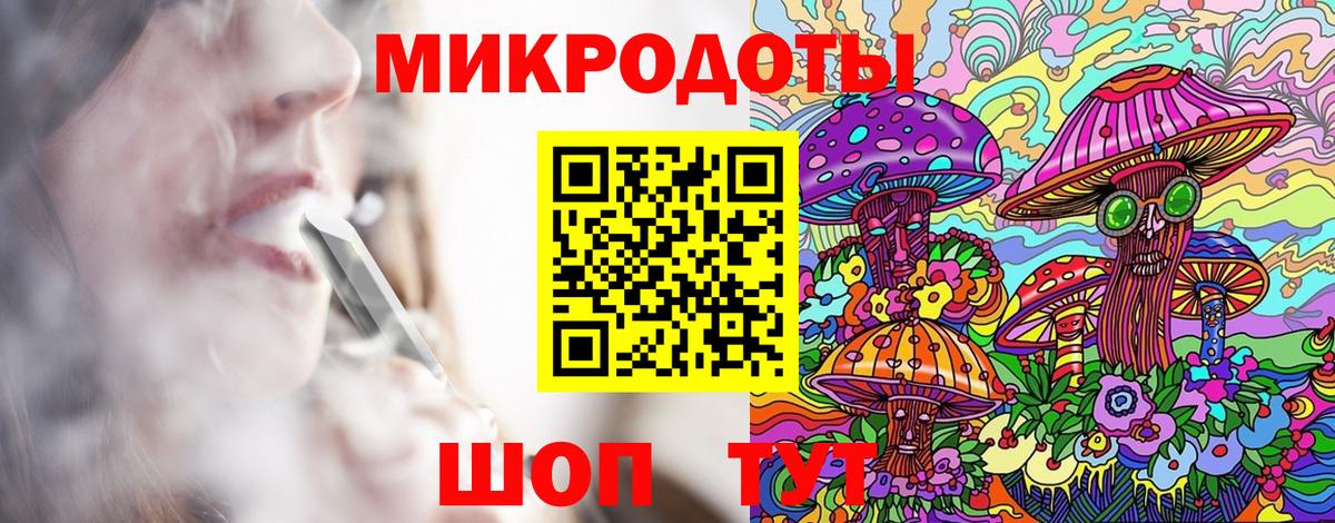 Галлюциногенные грибы Psilocybe Уссурийск